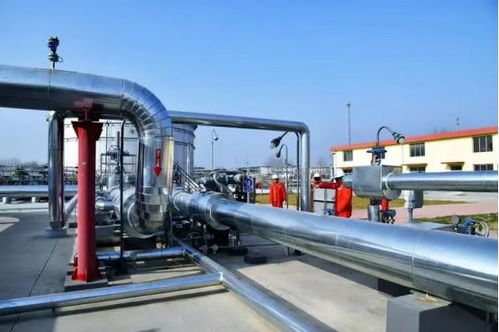 中缅管道合作 互利共赢的战略选择