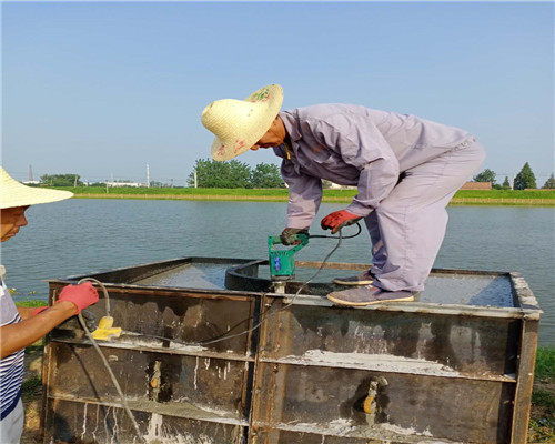 连云港市管道水下安装技术咨询 核心要点与专业服务指南