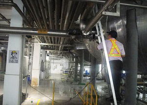 迪奈美 成功解决食品行业啤酒厂锅炉管道结垢腐蚀异味问题